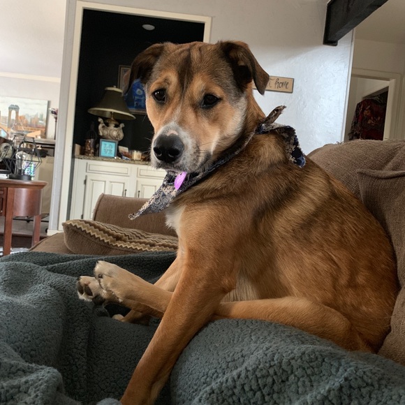 meet the posher - grace rogers!! - Picture 4 of 5